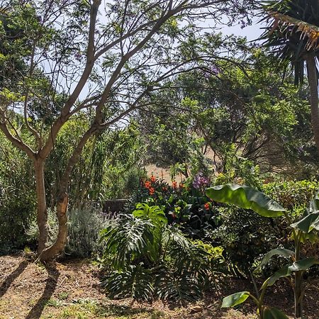Home Stay En Finca Rural Tarifa Exterior foto